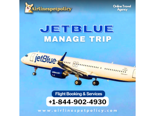 How to Manage Jetblue Flight Booking?