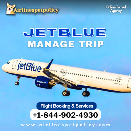 how-to-manage-jetblue-flight-booking-big-0