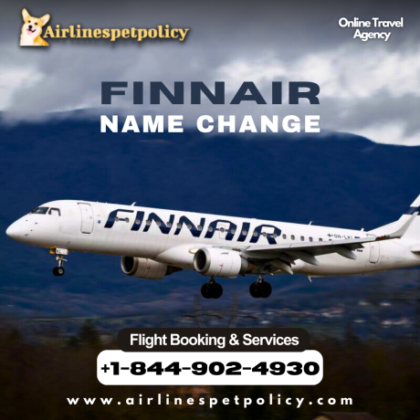 how-do-i-change-my-name-on-my-finnair-flight-ticket-big-0