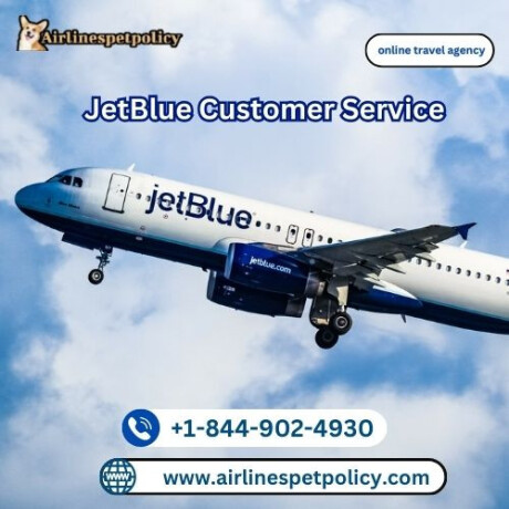 how-do-i-contact-jetblue-customer-service-big-0