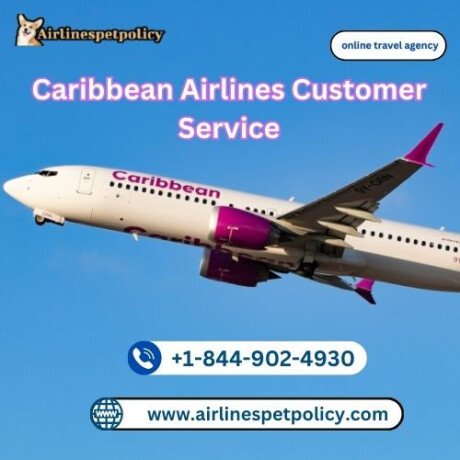 how-do-i-speak-to-a-live-person-at-caribbean-airlines-big-0