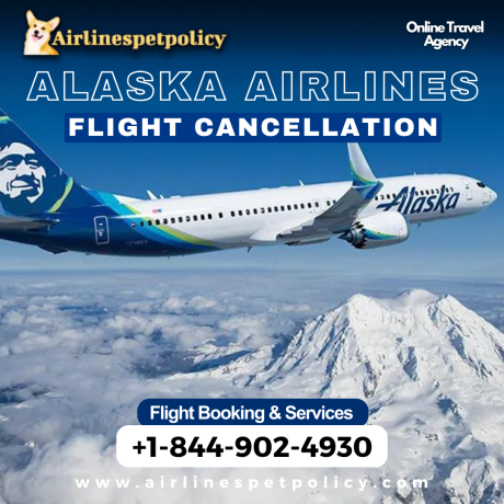 does-alaska-airlines-allow-you-to-cancel-a-flight-big-0
