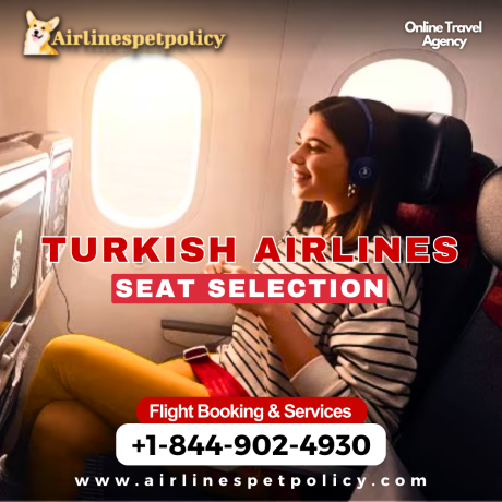 can-i-select-seats-on-turkish-airlines-big-0
