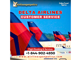How do I talk to Delta customer service?