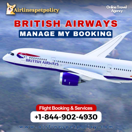 how-do-i-manage-booking-with-british-airways-big-0