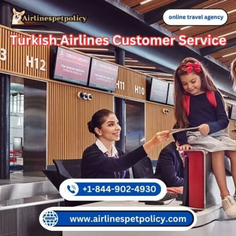 how-do-i-contact-someone-at-turkish-airlines-big-0