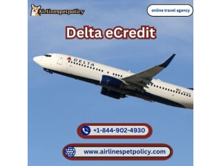 How to Use a Delta eCredit