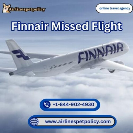 what-to-do-if-i-miss-my-finnair-flight-big-0