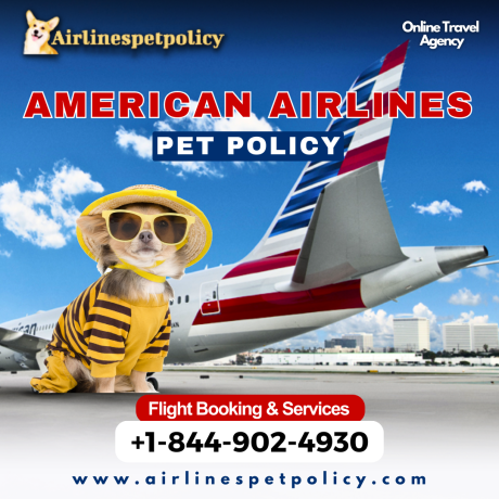 what-is-the-pet-fee-for-american-airlines-big-0