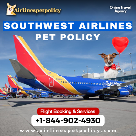 how-do-i-book-a-flight-with-my-dog-on-southwest-airlines-big-0