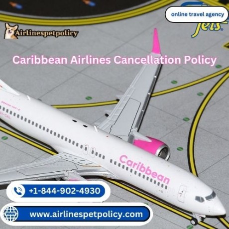 how-do-i-cancel-my-flight-on-caribbean-airlines-big-0