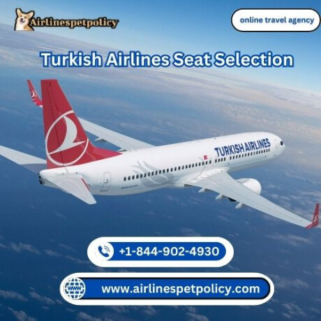 how-to-choose-the-seat-on-turkish-airlines-big-0
