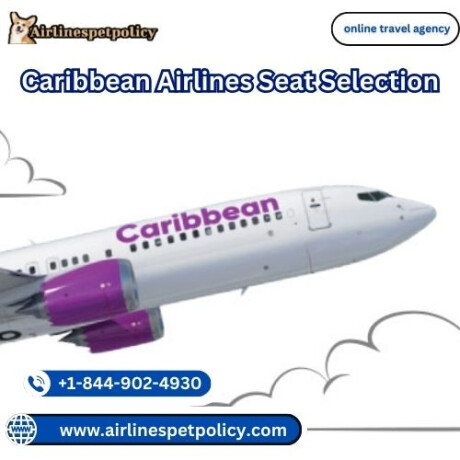 how-do-i-select-my-seat-at-caribbean-airlines-big-0