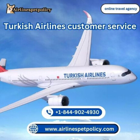 how-do-i-contact-turkish-airlines-customer-service-big-0
