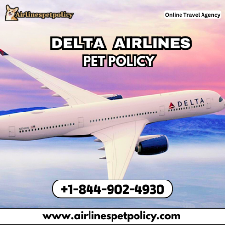what-is-the-delta-airlines-pet-policy-big-0