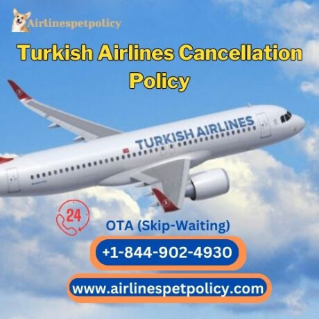how-do-i-cancel-my-flight-with-turkish-airlines-big-0