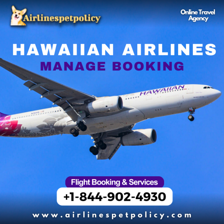 how-do-i-manage-my-booking-at-hawaiian-airlines-big-0