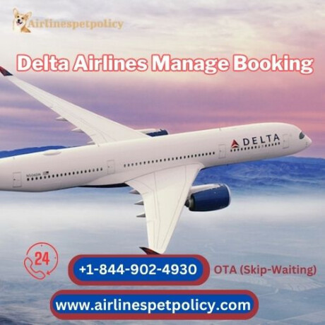 how-to-manage-delta-airlines-booking-big-0