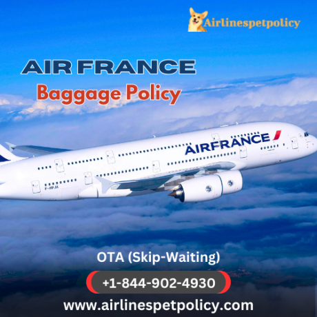 what-is-the-air-france-baggage-policy-big-0