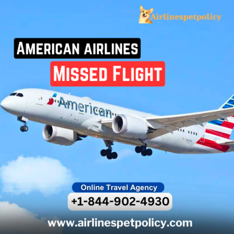 what-are-my-options-if-i-miss-an-american-airlines-flight-big-0
