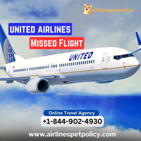what-happens-if-you-miss-a-flight-on-united-big-0