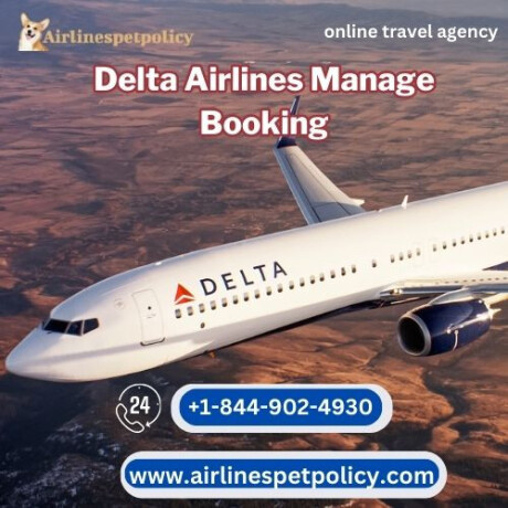 how-to-manage-my-booking-on-delta-airlines-big-0