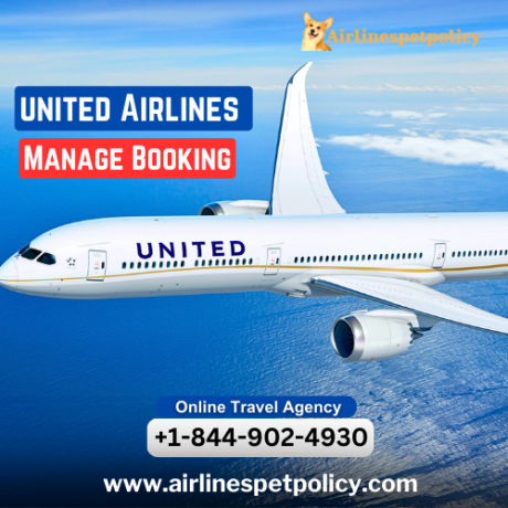 how-do-i-manage-my-united-airlines-booking-big-0