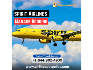 How can I manage my Spirit Airlines booking?