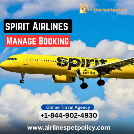 how-can-i-manage-my-spirit-airlines-booking-big-0