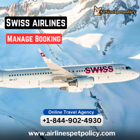 how-do-i-manage-my-swiss-air-booking-big-0