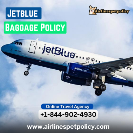 what-is-jetblues-baggage-policy-big-0