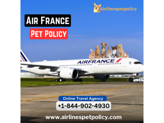 What Is The Air France Pet Policy?