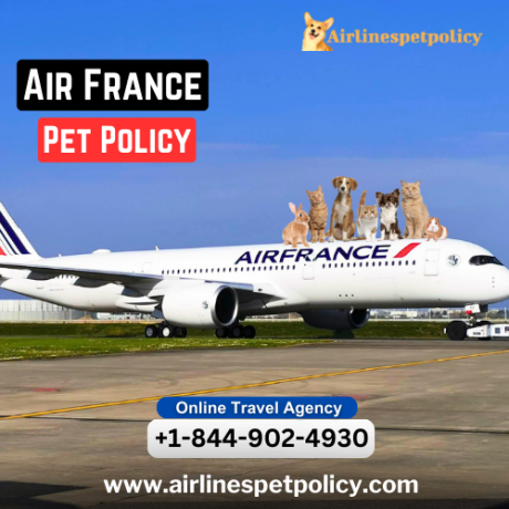 what-is-the-air-france-pet-policy-big-0