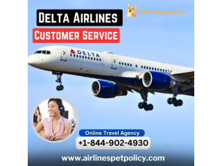 What are the different ways to contact Delta customer service?