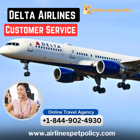 what-are-the-different-ways-to-contact-delta-customer-service-big-0
