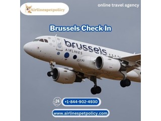 How to check in Brussels airlines?