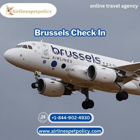 how-to-check-in-brussels-airlines-big-0