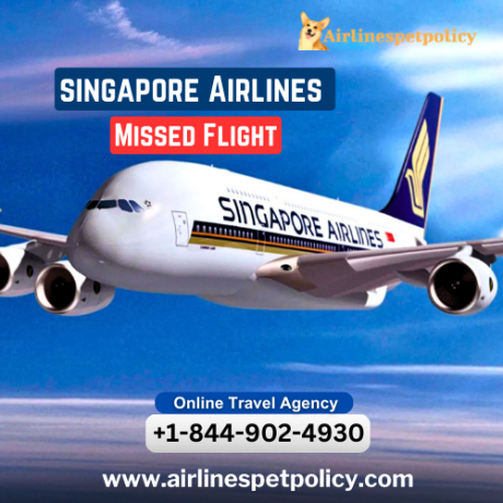 what-happens-if-i-miss-my-singapore-airlines-flight-big-0