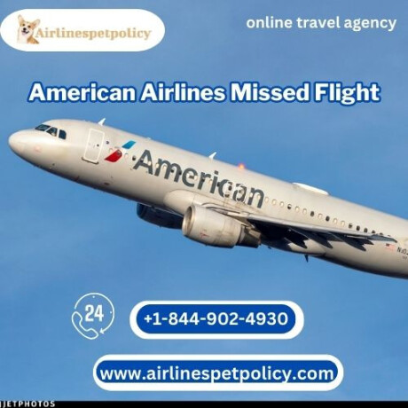 what-to-do-when-you-miss-your-flight-american-airlines-big-0