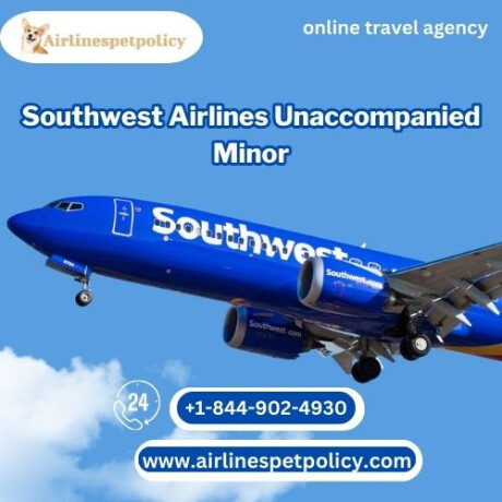 how-to-book-a-southwest-unaccompanied-minor-flight-big-0