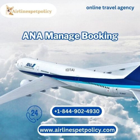 how-to-manage-your-booking-at-ana-big-0