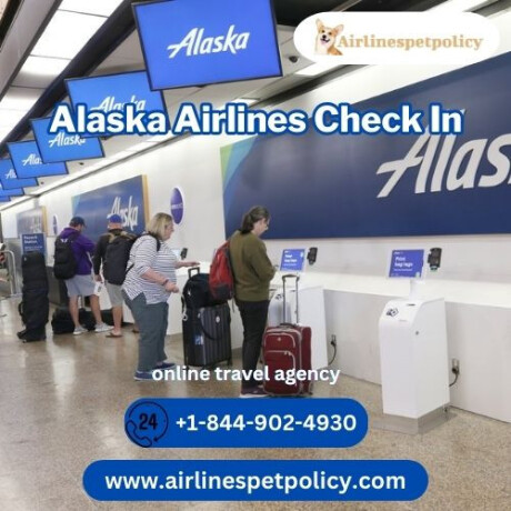 how-to-check-in-alaska-big-0