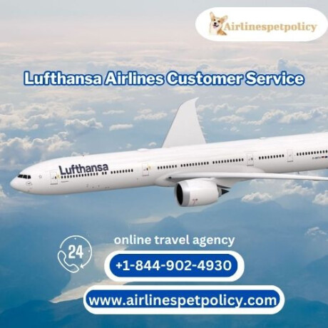 how-do-i-contact-lufthansa-airlines-customer-service-big-0