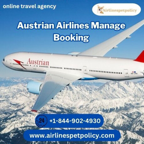 how-do-i-manage-my-booking-with-austrian-airlines-big-0