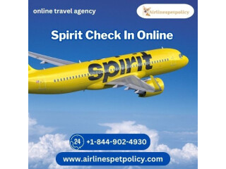 How to check in online Spirit Airlines?