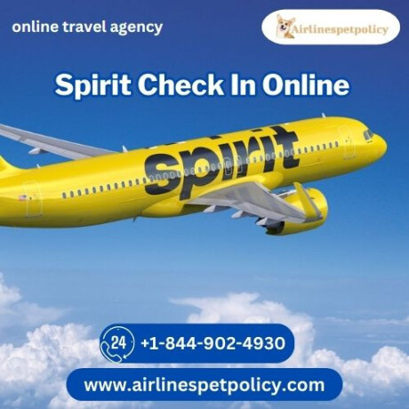 how-to-check-in-online-spirit-airlines-big-0