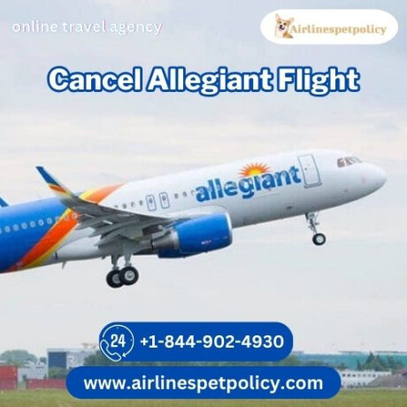 how-to-cancel-allegiant-flight-big-0