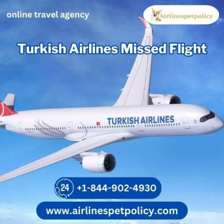 what-happens-if-i-miss-my-flight-at-turkish-airlines-big-0