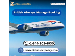 Can I Change Seats After Booking on British Airways?