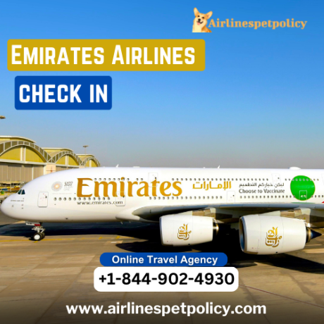 how-can-i-check-in-for-my-emirates-flight-big-0